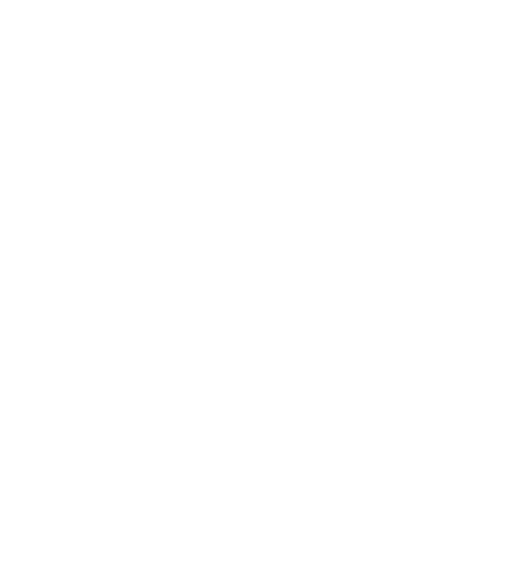 トラビル サイバータイガー